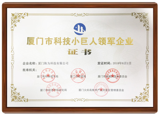 科技小巨人(rén)