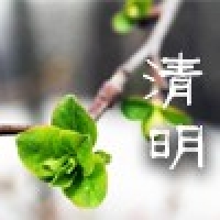 請上(shàng)傳圖片
