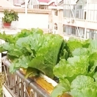 請上(shàng)傳圖片